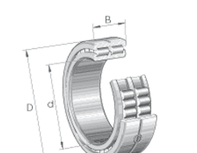 INA SL014830 roller bearings